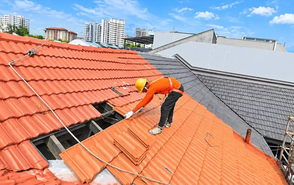 Roof Repair Project 1